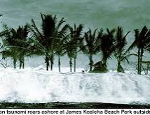 Historical photograph of a wave in front of palm trees, with a partial caption along the bottom edge.