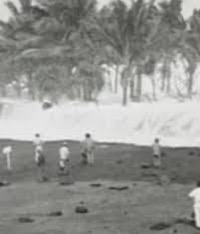 Historical photograph of several people on the shore, with a wave breaking near palm trees behind them.