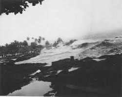 Historical photograph of a tsunami surge crossing a dark shoreline beneath overhanging branches.